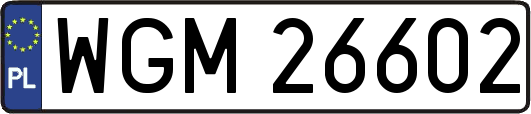 WGM26602