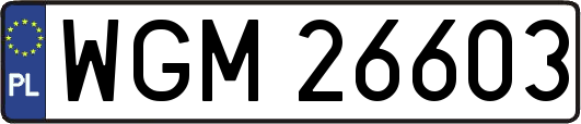 WGM26603