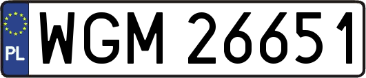 WGM26651