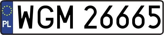 WGM26665