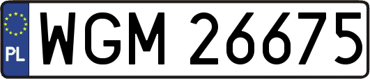 WGM26675