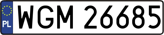 WGM26685