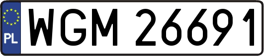 WGM26691