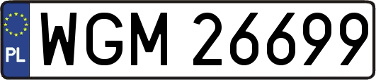 WGM26699