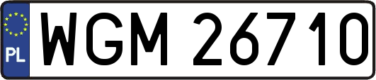 WGM26710