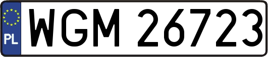 WGM26723