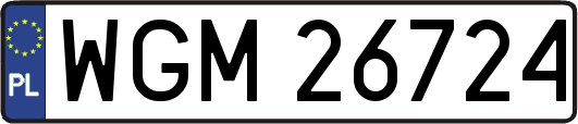 WGM26724