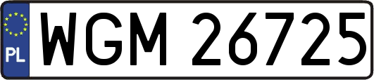 WGM26725