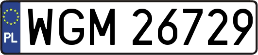 WGM26729