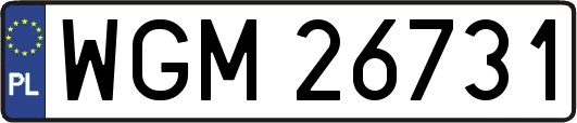 WGM26731