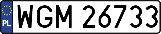 WGM26733