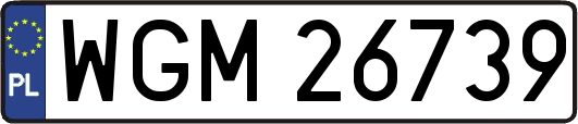 WGM26739