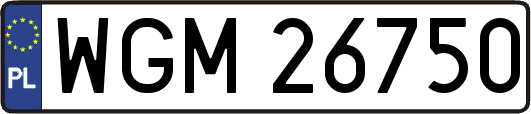 WGM26750
