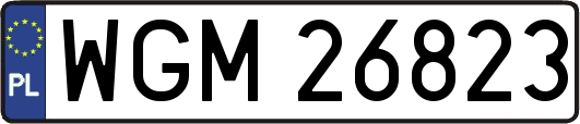 WGM26823