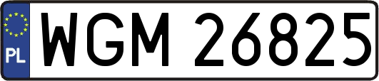 WGM26825