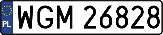 WGM26828