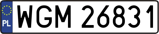 WGM26831