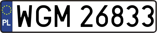 WGM26833