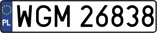 WGM26838