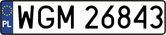 WGM26843