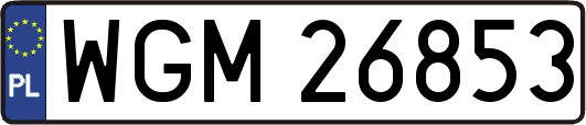 WGM26853