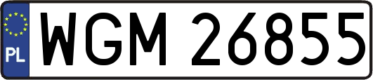 WGM26855