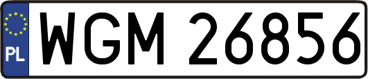 WGM26856