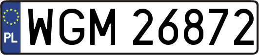 WGM26872