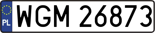 WGM26873