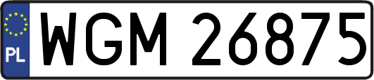 WGM26875