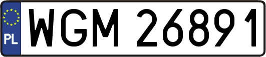 WGM26891