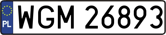 WGM26893