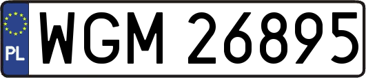 WGM26895