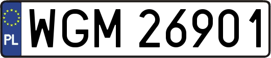 WGM26901