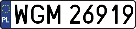 WGM26919