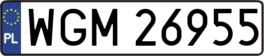 WGM26955