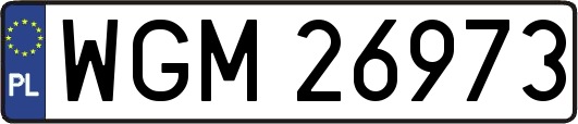 WGM26973