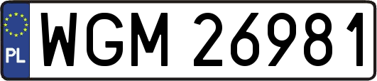 WGM26981