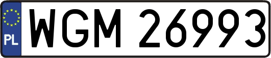WGM26993
