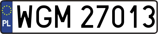 WGM27013