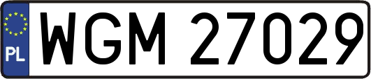 WGM27029