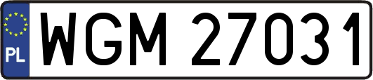WGM27031