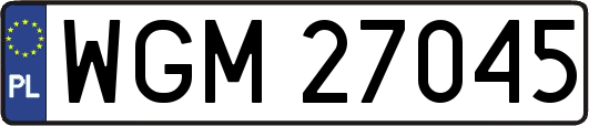 WGM27045