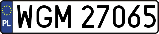 WGM27065