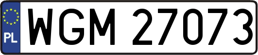 WGM27073