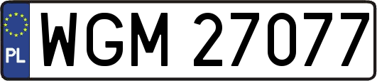 WGM27077
