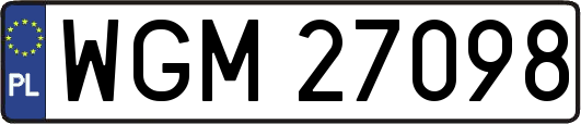 WGM27098