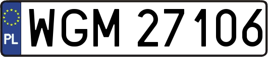 WGM27106