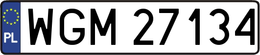 WGM27134