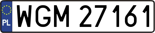 WGM27161